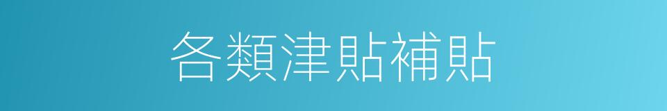 各類津貼補貼的同義詞