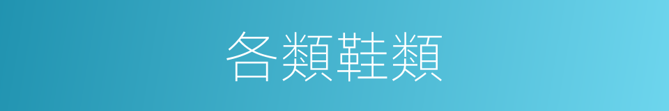 各類鞋類的同義詞