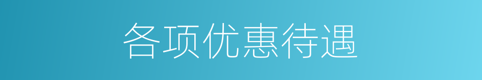 各项优惠待遇的同义词
