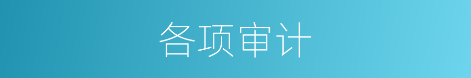 各项审计的同义词