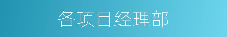 各项目经理部的同义词