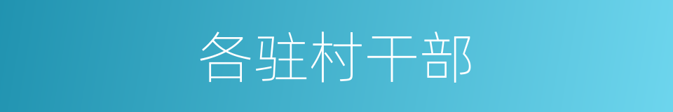 各驻村干部的同义词