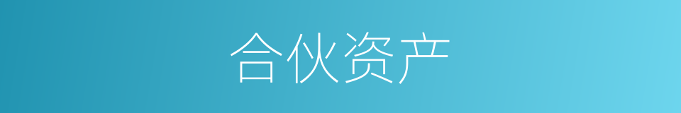 合伙资产的同义词