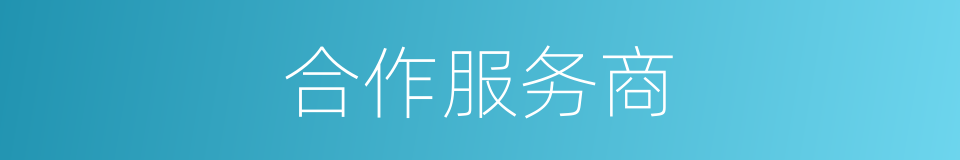 合作服务商的同义词