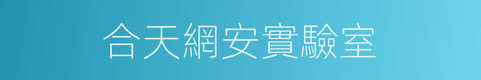 合天網安實驗室的同義詞