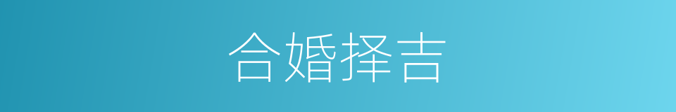 合婚择吉的同义词