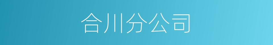 合川分公司的同义词