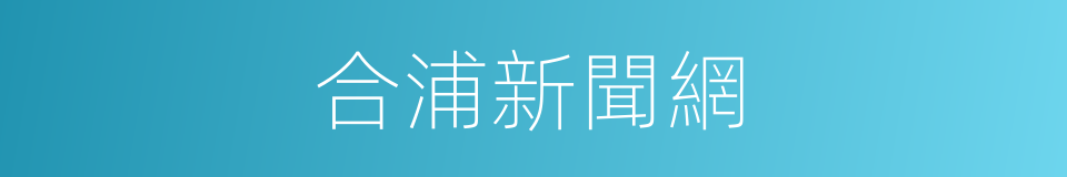 合浦新聞網的同義詞