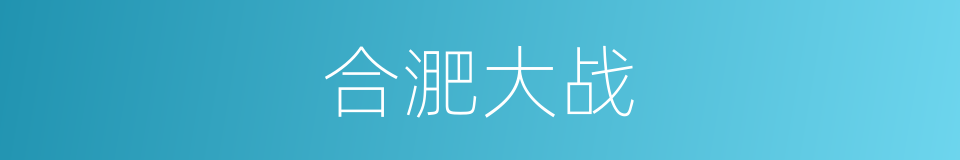 合淝大战的同义词
