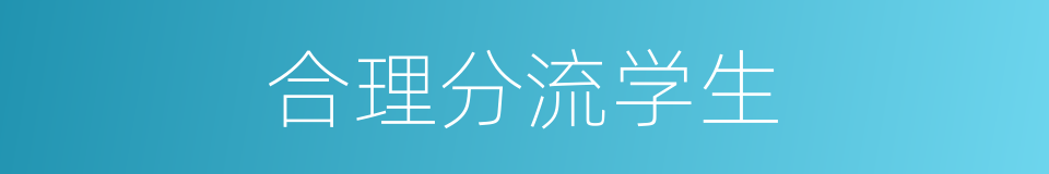 合理分流学生的同义词