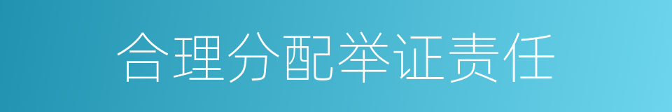 合理分配举证责任的同义词