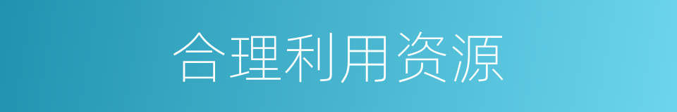 合理利用资源的同义词