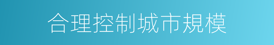 合理控制城市規模的同義詞