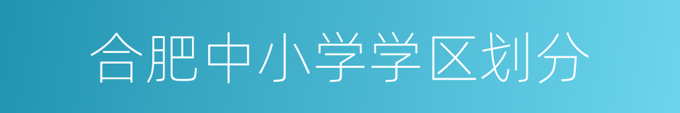 合肥中小学学区划分的同义词