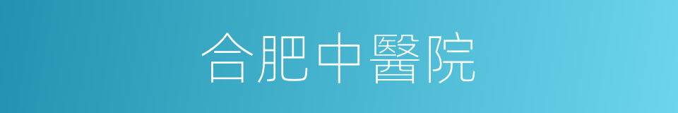 合肥中醫院的同義詞