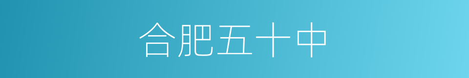 合肥五十中的同义词