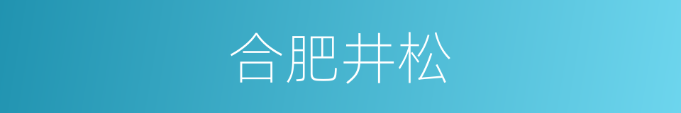 合肥井松的同义词