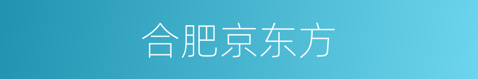 合肥京东方的同义词