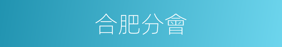 合肥分會的同義詞