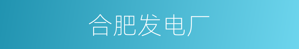 合肥发电厂的同义词