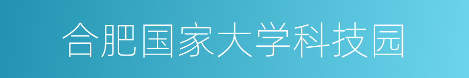 合肥国家大学科技园的同义词