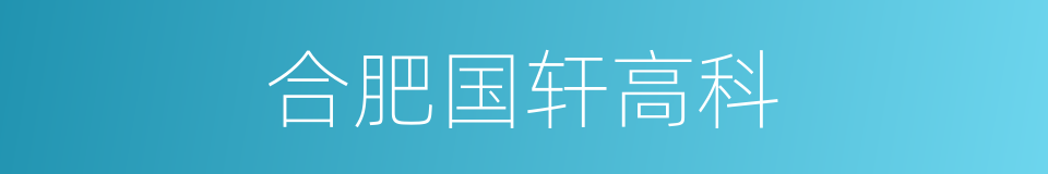 合肥国轩高科的同义词