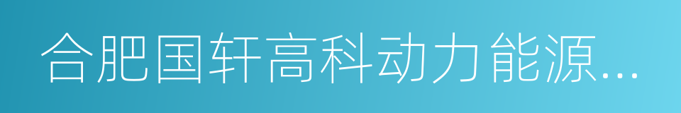 合肥国轩高科动力能源有限公司的同义词