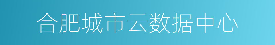 合肥城市云数据中心的同义词