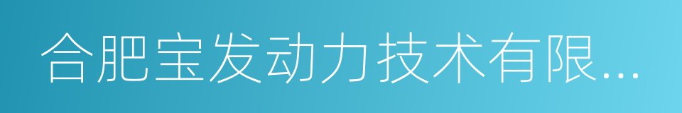 合肥宝发动力技术有限公司的同义词