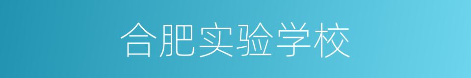 合肥实验学校的同义词