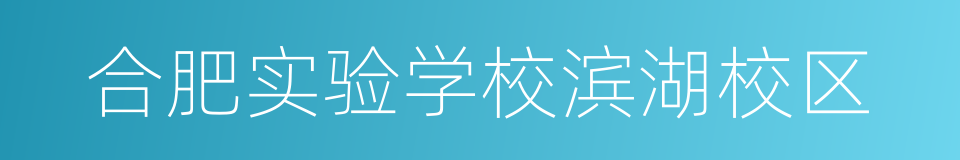 合肥实验学校滨湖校区的同义词