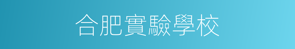 合肥實驗學校的同義詞