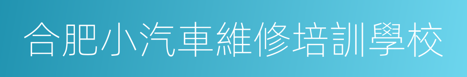 合肥小汽車維修培訓學校的同義詞