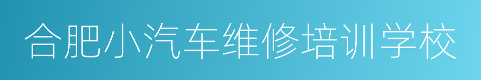 合肥小汽车维修培训学校的同义词