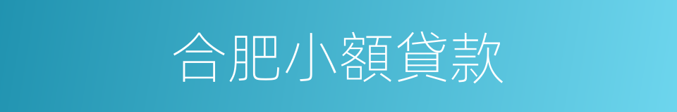 合肥小額貸款的同義詞