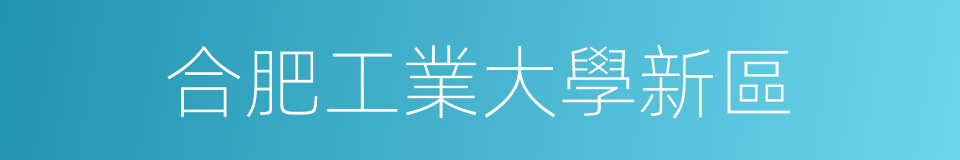 合肥工業大學新區的同義詞