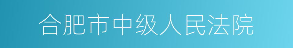 合肥市中级人民法院的同义词