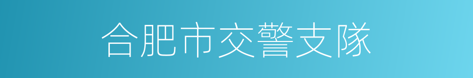 合肥市交警支隊的同義詞