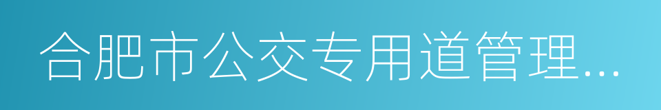 合肥市公交专用道管理暂行办法的同义词