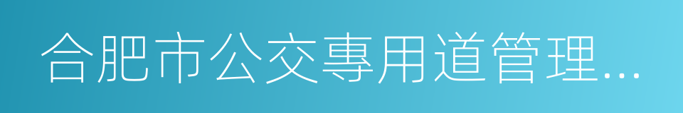 合肥市公交專用道管理暫行辦法的同義詞