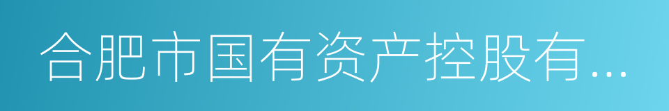 合肥市国有资产控股有限公司的同义词