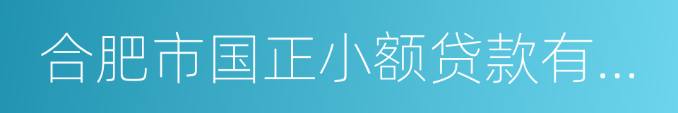 合肥市国正小额贷款有限公司的同义词