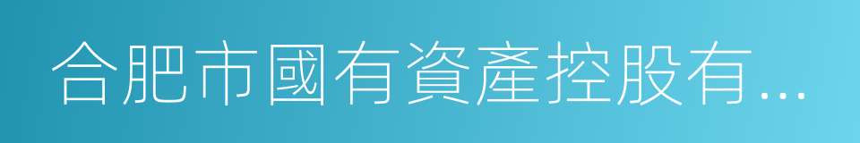 合肥市國有資產控股有限公司的同義詞