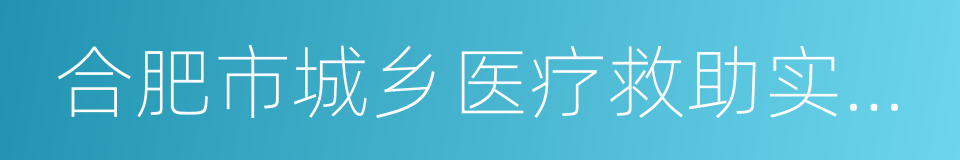 合肥市城乡医疗救助实施办法的同义词