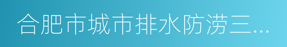 合肥市城市排水防涝三年行动方案的同义词