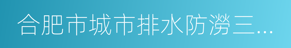 合肥市城市排水防澇三年行動方案的同義詞