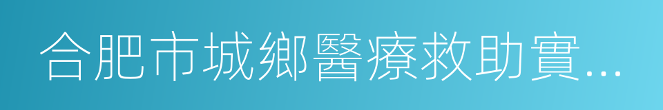 合肥市城鄉醫療救助實施辦法的同義詞