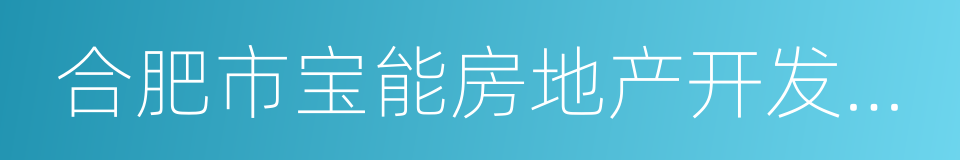 合肥市宝能房地产开发有限公司的同义词