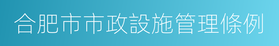 合肥市市政設施管理條例的同義詞