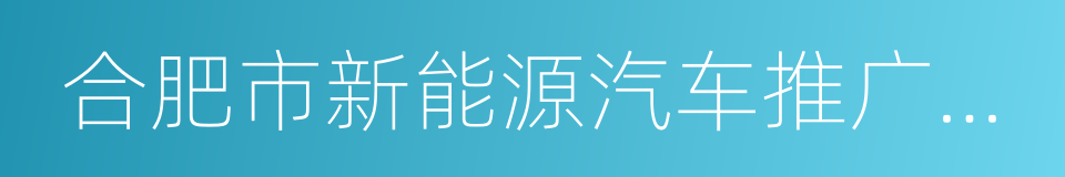 合肥市新能源汽车推广应用财政补助管理细则的同义词